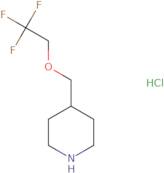 4-[(2,2,2-Trifluoroethoxy)methyl]piperidine hydrochloride