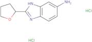 2-(Oxolan-2-yl)-1H-1,3-benzodiazol-5-amine dihydrochloride