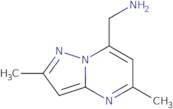 (2,5-Dimethylpyrazolo[1,5-a]pyrimidin-7-yl)methylamine