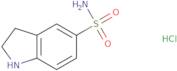 2,3-Dihydro-1H-indole-5-sulfonamide hydrochloride