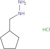 (Cyclopentylmethyl)hydrazine hydrochloride