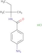 4-Amino-N-(2-methylbutan-2-yl)benzamide hydrochloride