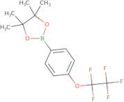 4,4,5,5-Tetramethyl-2-[4-(pentafluoroethoxy)phenyl]-1,3,2-dioxaborolane