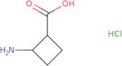 trans-2-Aminocyclobutane-1-carboxylic acid hydrochloride