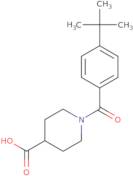 1-(4-tert-Butylbenzoyl)piperidine-4-carboxylic acid