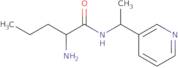 2-Amino-N-[1-(pyridin-3-yl)ethyl]pentanamide