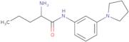 2-Amino-N-[3-(pyrrolidin-1-yl)phenyl]pentanamide