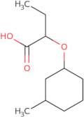 2-[(3-Methylcyclohexyl)oxy]butanoic acid