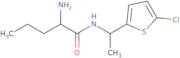 2-Amino-N-[1-(5-chlorothiophen-2-yl)ethyl]pentanamide