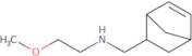 N-(2-Bicyclo[2.2.1]hept-5-enylmethyl)-2-methoxyethanamine