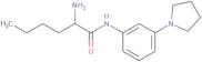 2-Amino-N-[3-(pyrrolidin-1-yl)phenyl]hexanamide