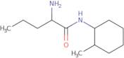 2-Amino-N-(2-methylcyclohexyl)pentanamide