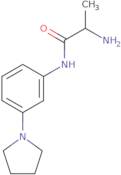 2-Amino-N-[3-(pyrrolidin-1-yl)phenyl]propanamide