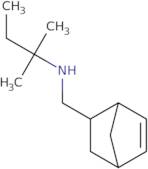 N-(2-Bicyclo[2.2.1]hept-5-enylmethyl)-2-methylbutan-2-amine