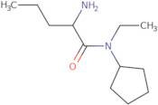 2-Amino-N-cyclopentyl-N-ethylpentanamide