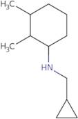 N-(Cyclopropylmethyl)-2,3-dimethylcyclohexan-1-amine