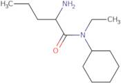 2-Amino-N-cyclohexyl-N-ethylpentanamide