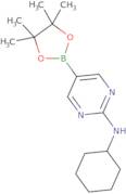 2-(Cyclohexylamino)pyrimidine-5-boronic acid pinacol ester