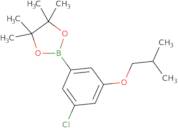 3-Chloro-5-isobutoxyphenylboronic acid pinacol ester