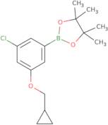3-Chloro-5-cyclopropylmethoxyphenylboronic acid pinacol ester