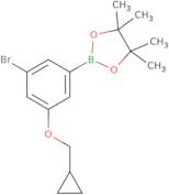 3-Bromo-5-(cyclopropylmethoxy)phenylboronic acid pinacol ester