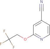 2-(2,2,2-Trifluoroethoxy)pyridine-4-carbonitrile