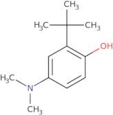 2-tert-Butyl-4-(dimethylamino)phenol