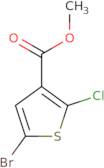 Methyl 5-bromo-2-chlorothiophene-3-carboxylate