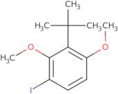 2-(1,1-Dimethylethyl)-4-iodo-1,3-dimethoxy-benzene