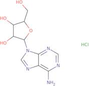 (2R,3R,4S,5R)-2-(6-Amino-9H-purin-9-yl)-5-(hydroxymethyl)oxolane-3,4-diol hydrochloride