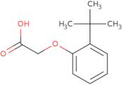 (2-tert-Butyl-phenoxy)-acetic acid