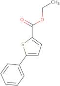 Ethyl 5-phenylthiophene-2-carboxylate