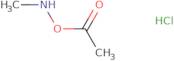 O-Acetyl-N-methylhydroxylamine Hydrochloride