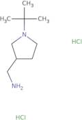 (1-tert-Butylpyrrolidin-3-yl)methanamine dihydrochloride