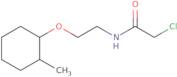 2-Chloro-N-{2-[(2-methylcyclohexyl)oxy]ethyl}acetamide