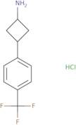 3-[4-(Trifluoromethyl)phenyl]cyclobutan-1-amine hydrochloride