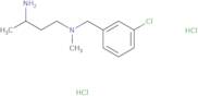 (3-Aminobutyl)[(3-chlorophenyl)methyl]methylamine dihydrochloride