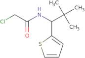2-Chloro-N-[2,2-dimethyl-1-(thiophen-2-yl)propyl]acetamide