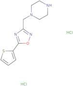 1-{[5-(Thiophen-2-yl)-1,2,4-oxadiazol-3-yl]methyl}piperazine dihydrochloride