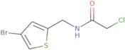 N-[(4-Bromothiophen-2-yl)methyl]-2-chloroacetamide