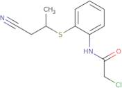 2-Chloro-N-{2-[(1-cyanopropan-2-yl)sulfanyl]phenyl}acetamide