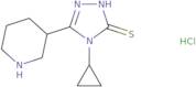 4-Cyclopropyl-5-(piperidin-3-yl)-4H-1,2,4-triazole-3-thiol hydrochloride