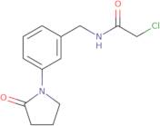 2-Chloro-N-{[3-(2-oxopyrrolidin-1-yl)phenyl]methyl}acetamide