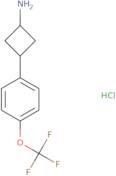 3-[4-(Trifluoromethoxy)phenyl]cyclobutan-1-amine hydrochloride