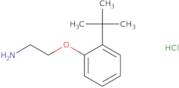 1-(2-Aminoethoxy)-2-tert-butylbenzene hydrochloride