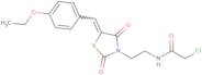 2-Chloro-N-(2-{5-[(4-ethoxyphenyl)methylidene]-2,4-dioxo-1,3-thiazolidin-3-yl}ethyl)acetamide