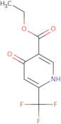 Ethyl 4-hydroxy-6-(trifluoromethyl)nicotinate