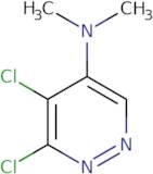 1-Benzyl-cyclopropanesulfonic acid tert-butylamide