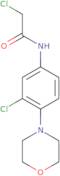 2-Chloro-N-(3-chloro-4-morpholin-4-yl-phenyl)-acetamide