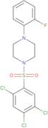 2,4,5-trichloro-1-((4-(2-fluorophenyl)piperazinyl)sulfonyl)benzene